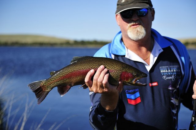Nice Rainbow Trout from Pejar Dam Nice Rainbow Trout from Pejar Dam