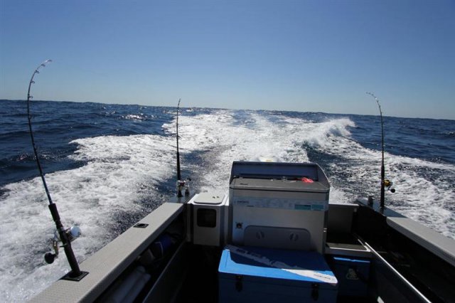 Ahh metro trolling - please send fish. Ahh metro trolling - please send fish.