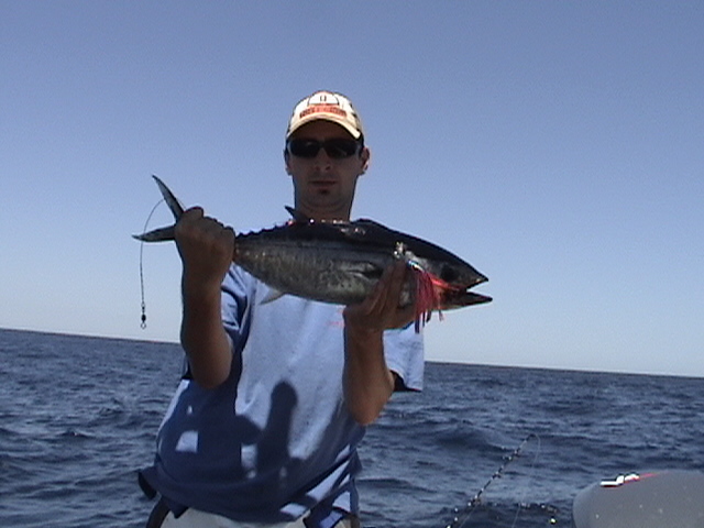 Tuna 2 Tuna 2