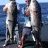 Big Fish on live herring.  Spencer Gulf 