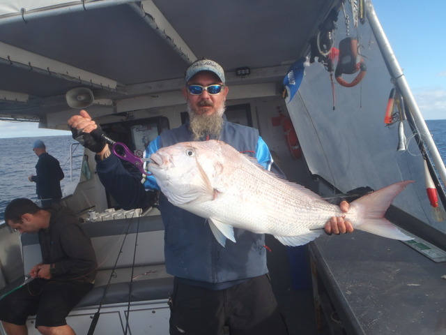 whiteys 9 kg snapper on jig