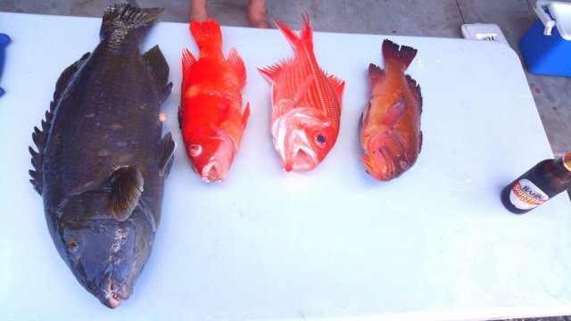 Mixed bag on jig Mixed bag on jig