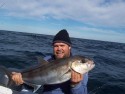gav077's picture