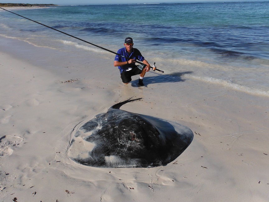 Assassin Rods land two big rays  Fishing -  - Fishing WA.  Fishing Photos & Videos